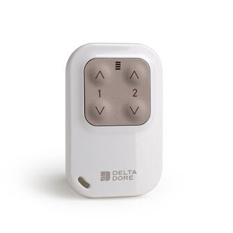 Delta Dore Keyring Remote For Lighting &amp; Roller Shutter Control