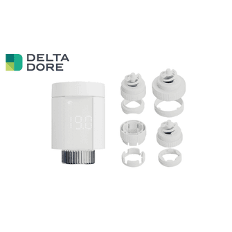 Delta Dore Smart TRV, Adaptor &amp; Tydom Hub Kit