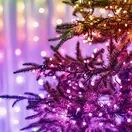 Twinkly Strings 400 Led RGB Black Wire Lights (Plug G, UK Type) additional 5