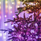 Twinkly Strings 250 Led RGB Black Wire/Plug G Lights (UK Type) additional 4