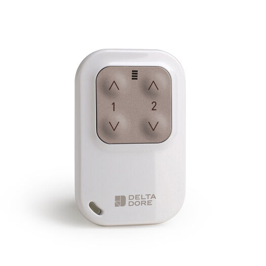 Delta Dore Keyring Remote For Lighting &amp; Roller Shutter Control
