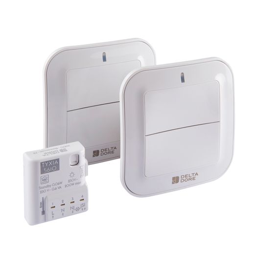 Delta Dore Tyxia 611 2-Way Lighting Switch &amp; Receiver Pack
