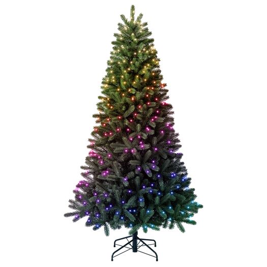 Twinkly Regal 2.1m Pre-lit Christmas Tree with 435 RGB+W LED Lights, Green Wire (Plug Type G)